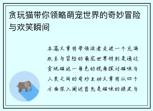贪玩猫带你领略萌宠世界的奇妙冒险与欢笑瞬间